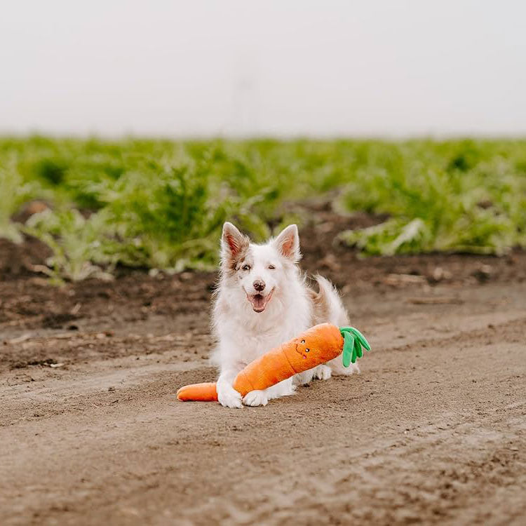 peluche veggie jigglerz carrot