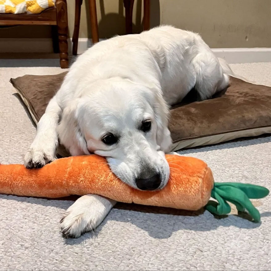 peluche carrot veggie jigglerz