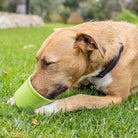 lickimat yoggie pot pour chiens