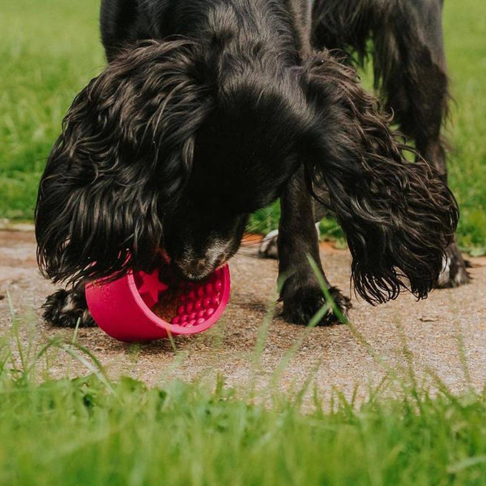 yoggie pot pour chiens