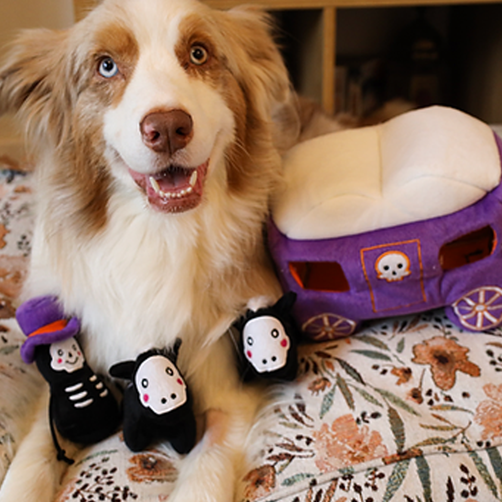 peluche de flair pour chien halloween caleche hantee