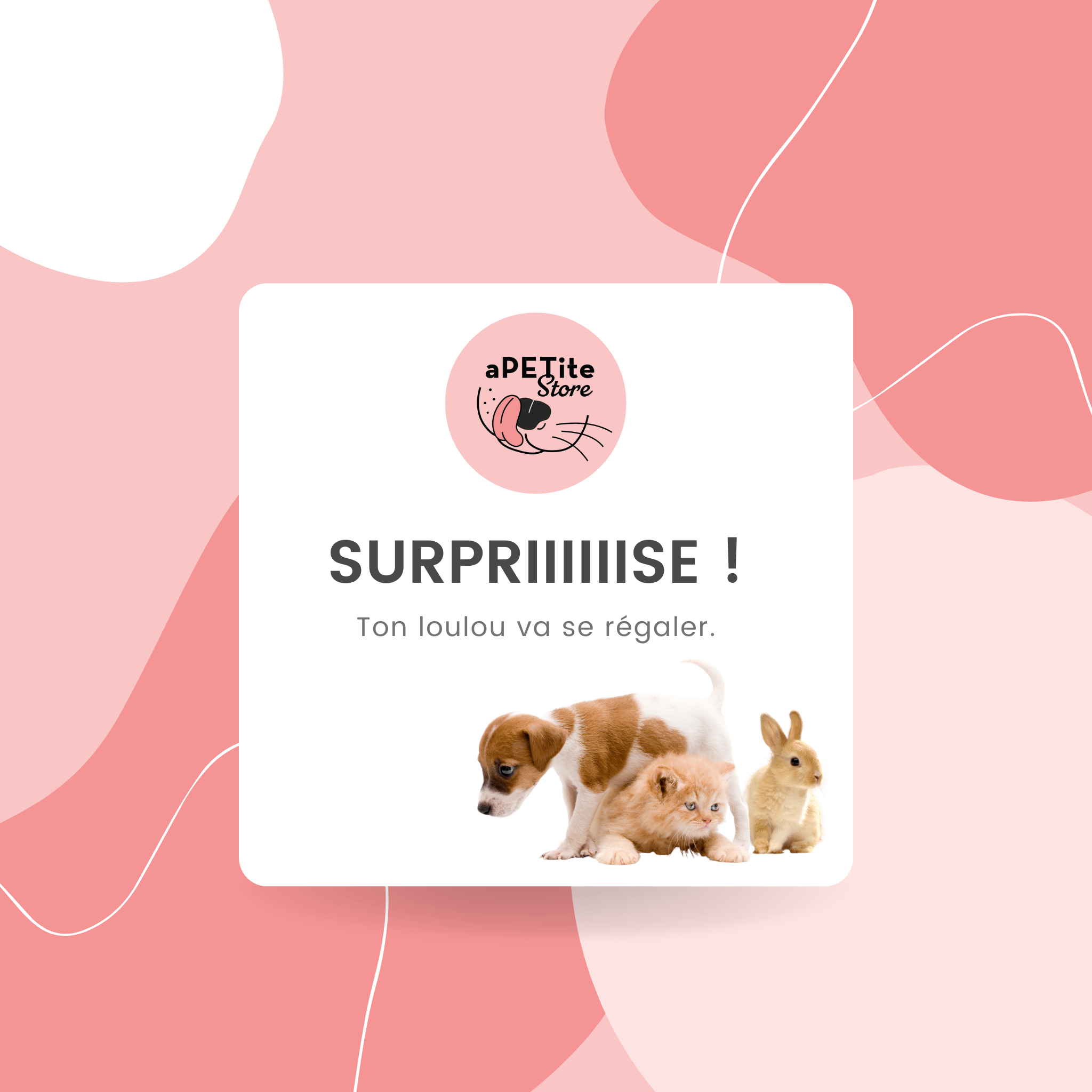 Carte-cadeau aPETite Store - aPETite Store