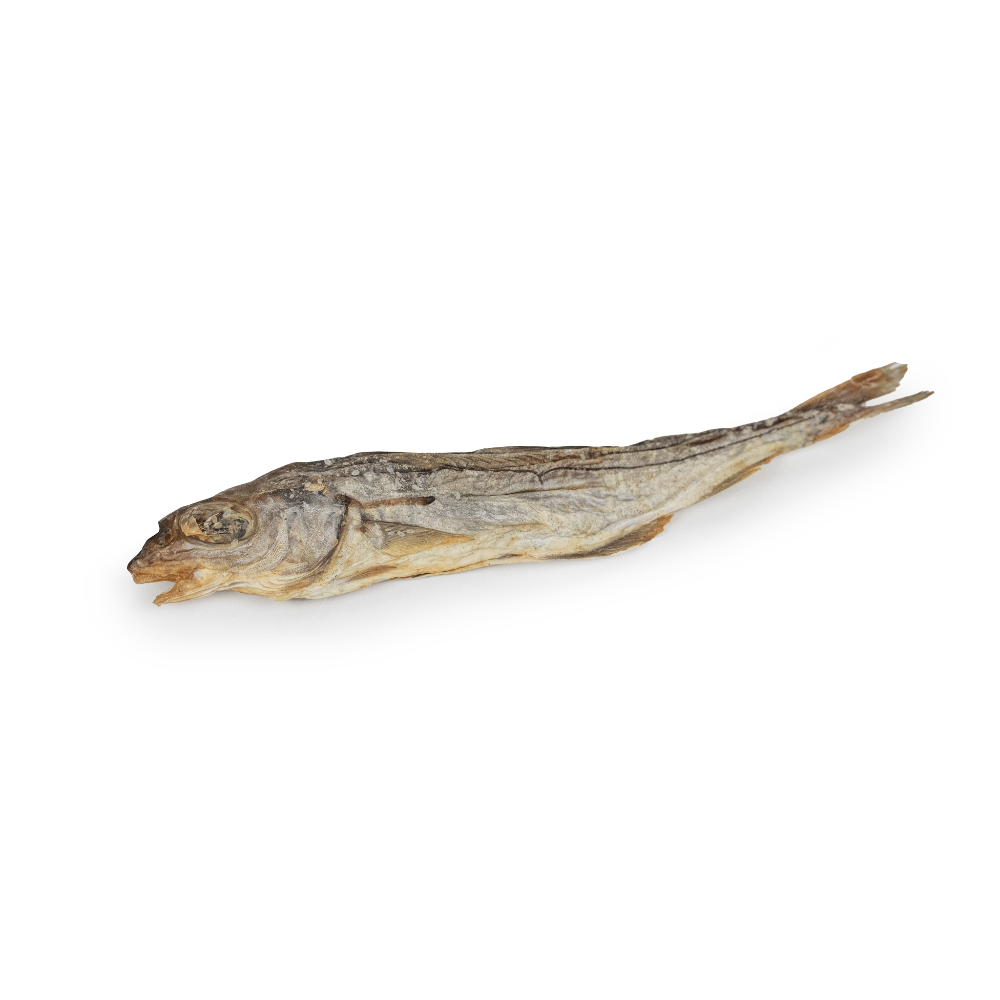 poisson entier pour chien