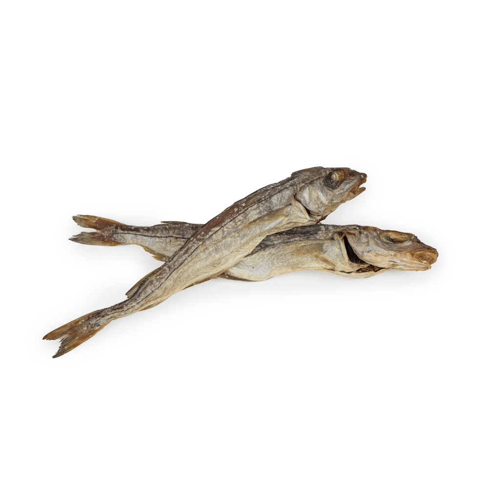 eglefin pour chien