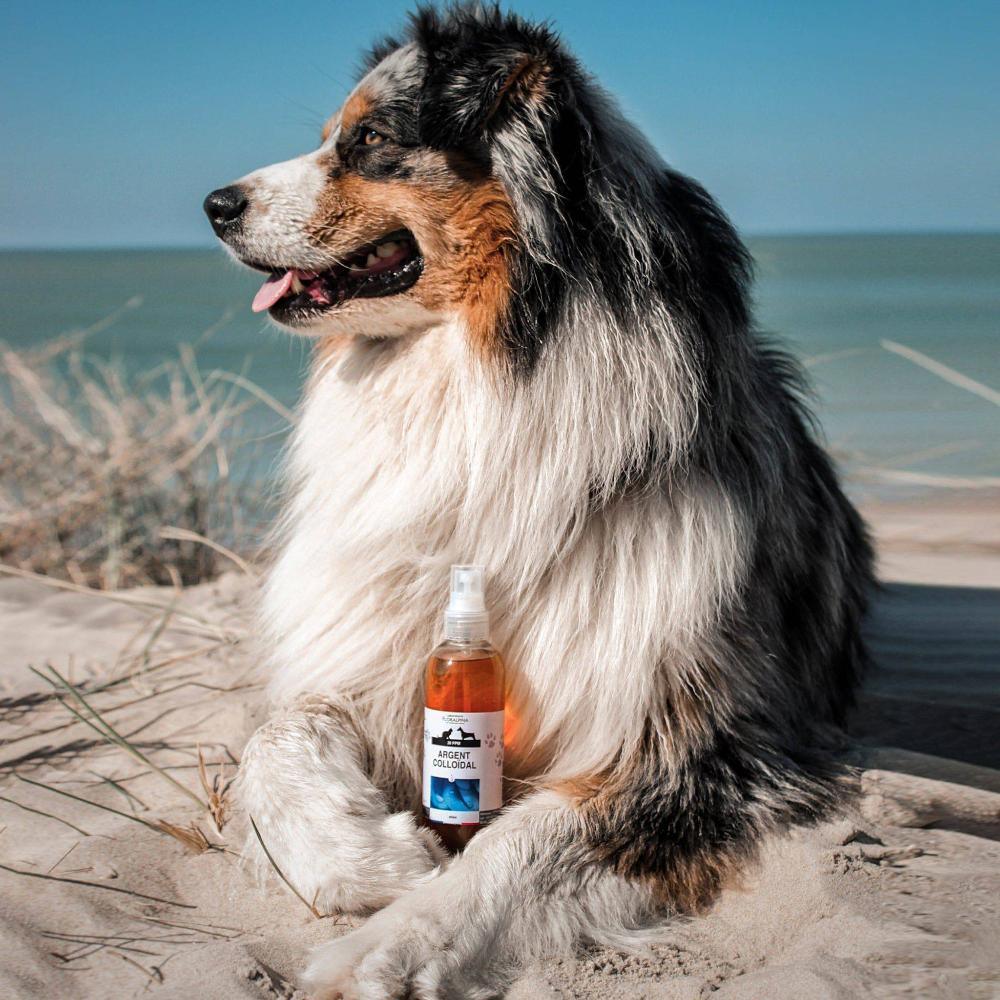 Argent colloïdal 20ppm – 250mL - aPETite Store