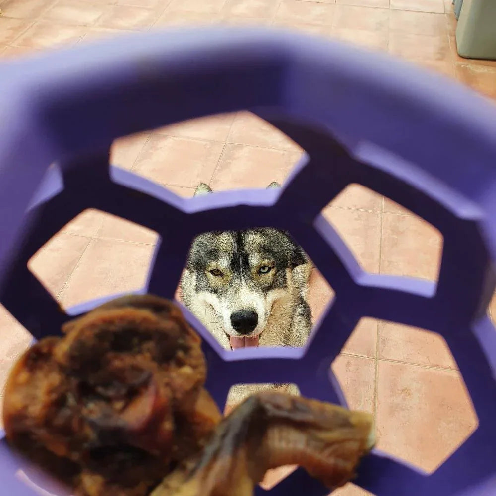 Balle JW Hol-ee Roller - aPETite Store