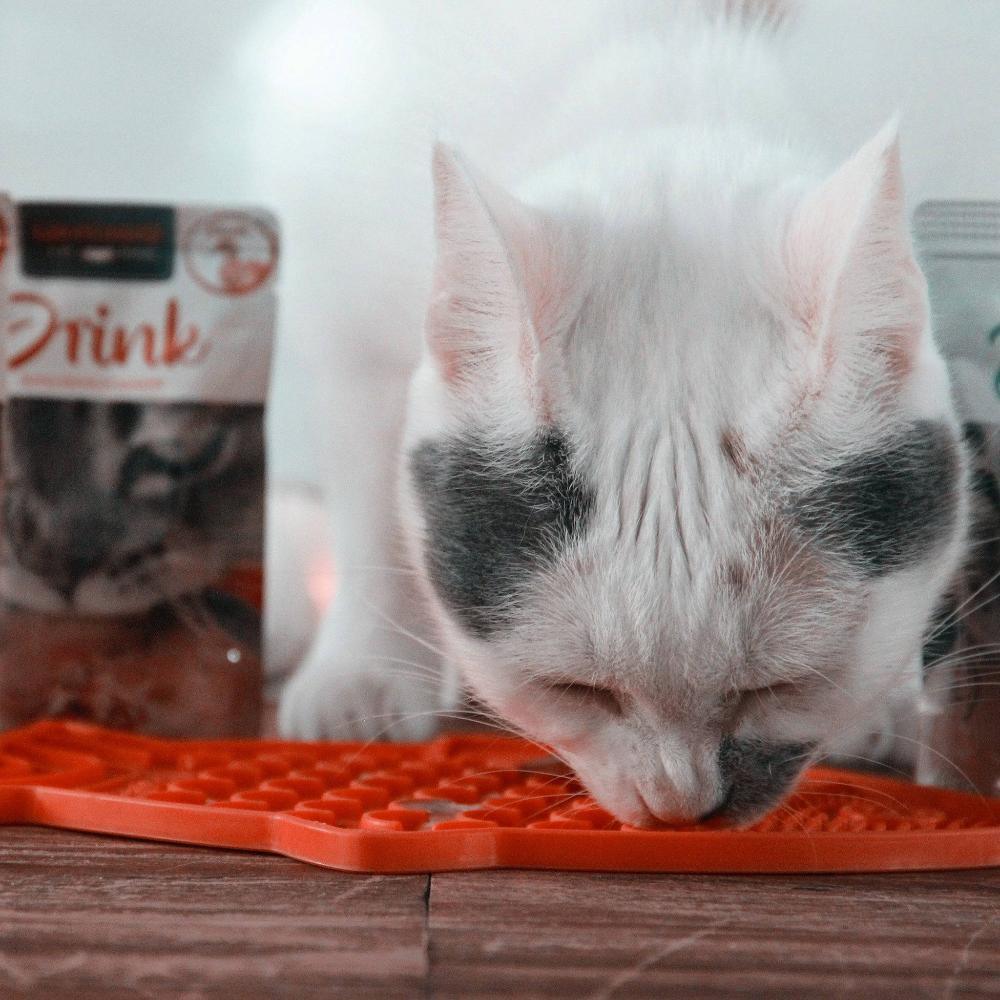 bouillon de viande drink leonardo