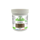 Psyllium blond biologique en graines