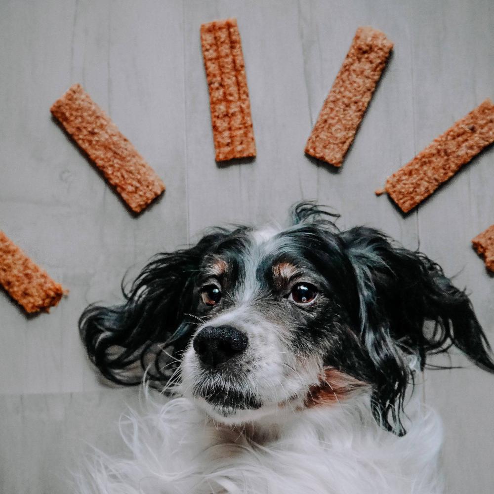 lanières de viande pour chiens
