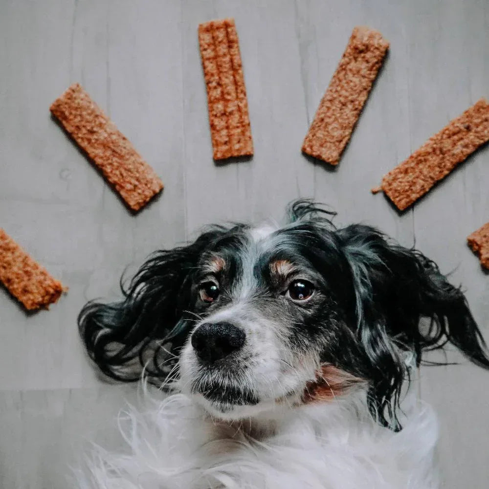 lanières de viande pour chiens