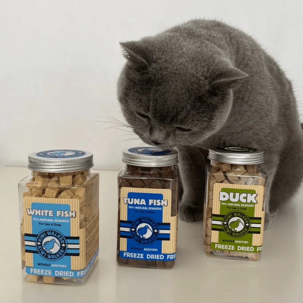 Kiwi Walker poisson blanc pour chat