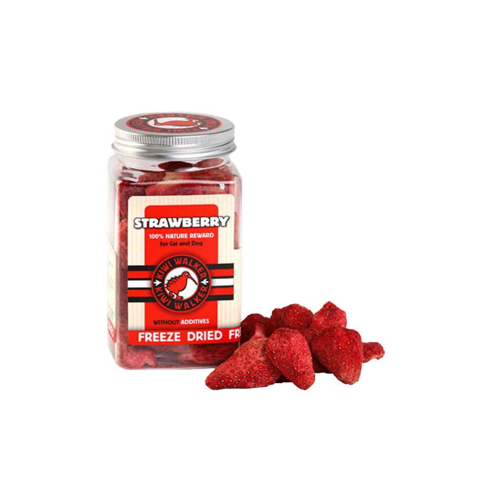 Kiwi Walker Fraises pour chiens A PET STORE
