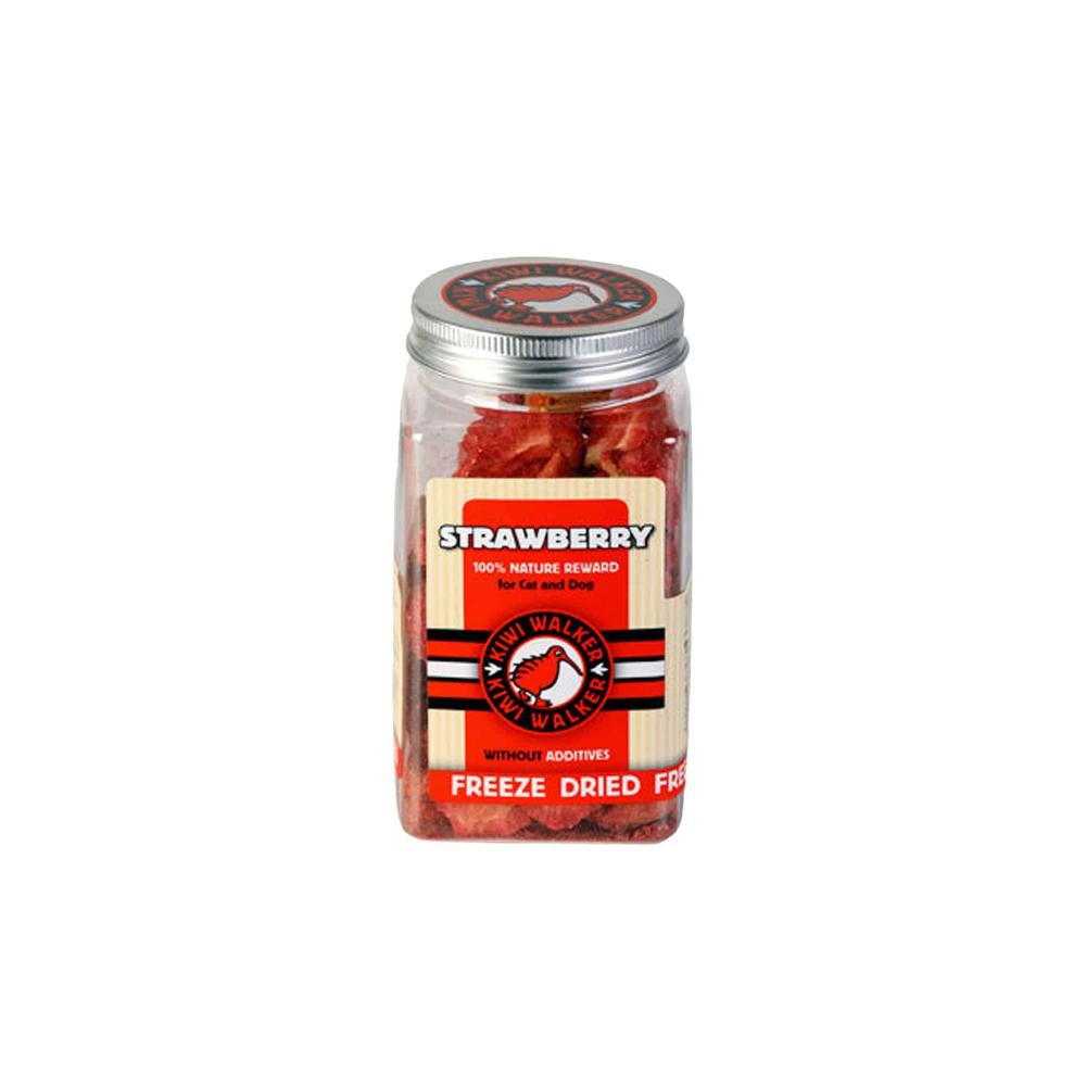 Kiwi Waler pour chiens fraises