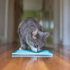 tapis de léchage buddy pour chat