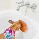 tapis de léchage ventouse pour chien