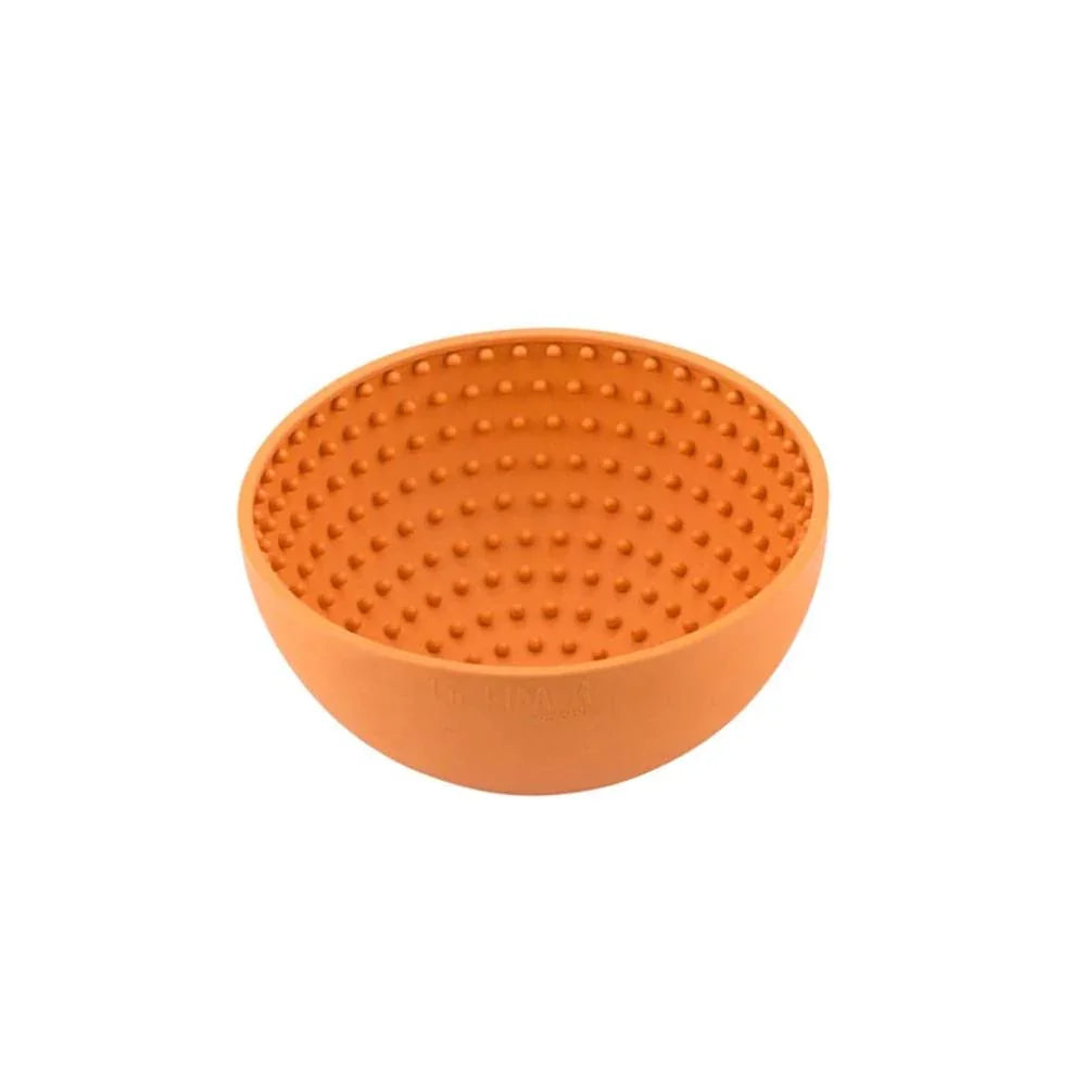 tapis de léchage pour chien