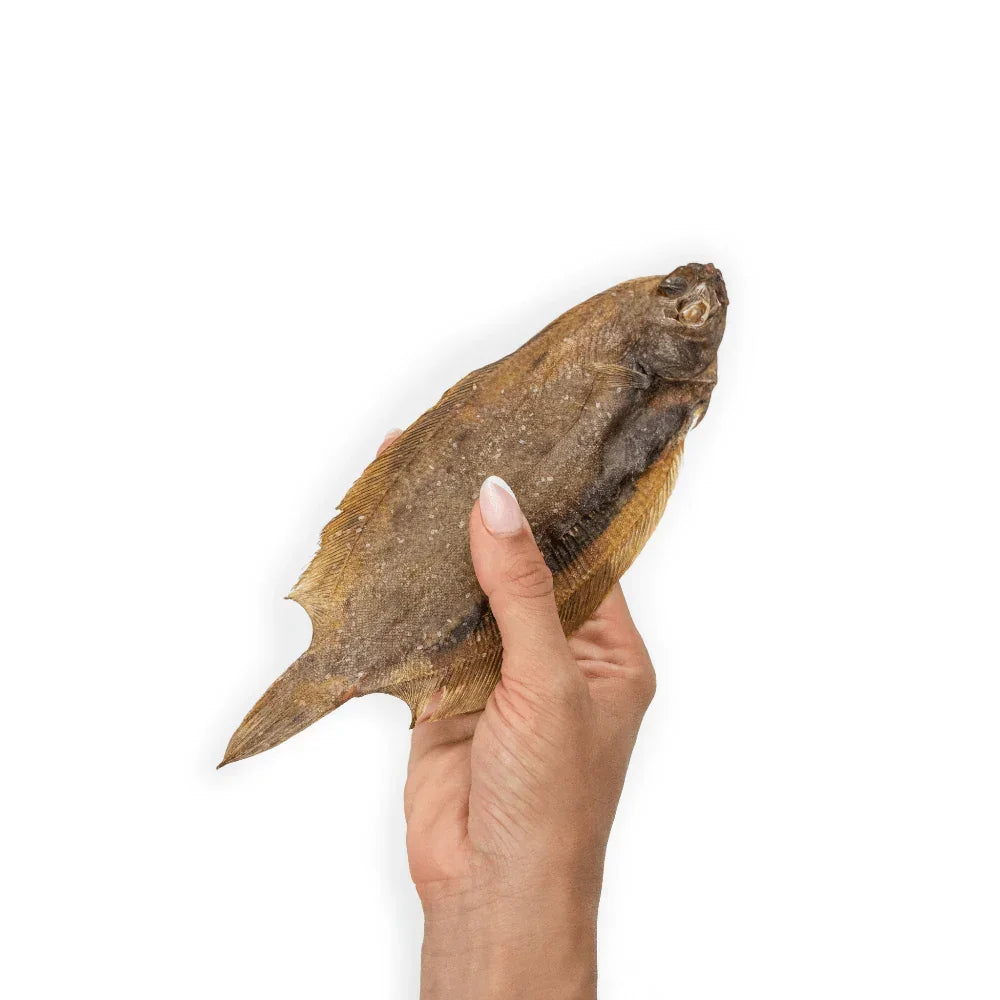 limande sole