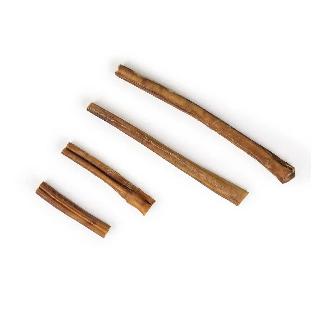 nerf de boeuf pour chien