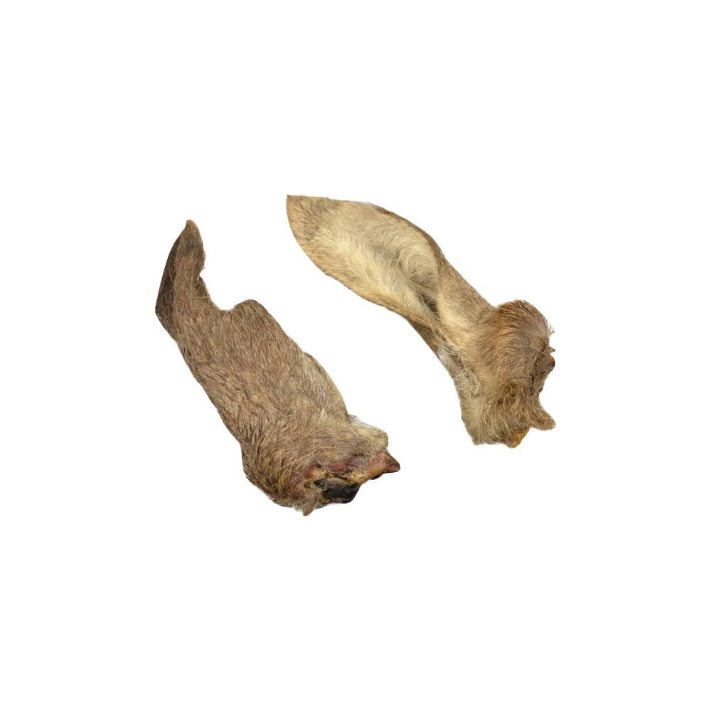 Oreille de chevreuil avec poils – 5 pièces - aPETite Store