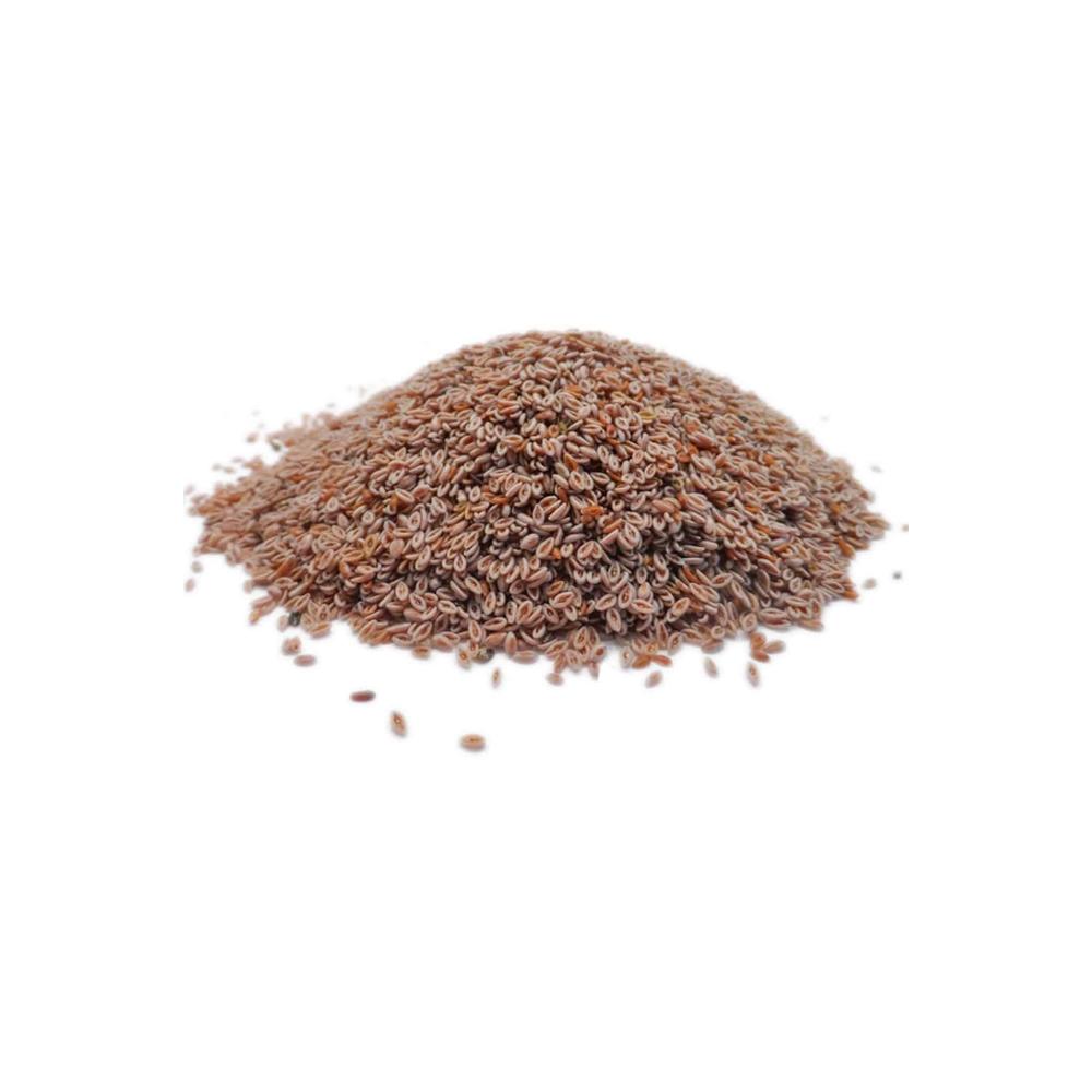 psyllium pour chien