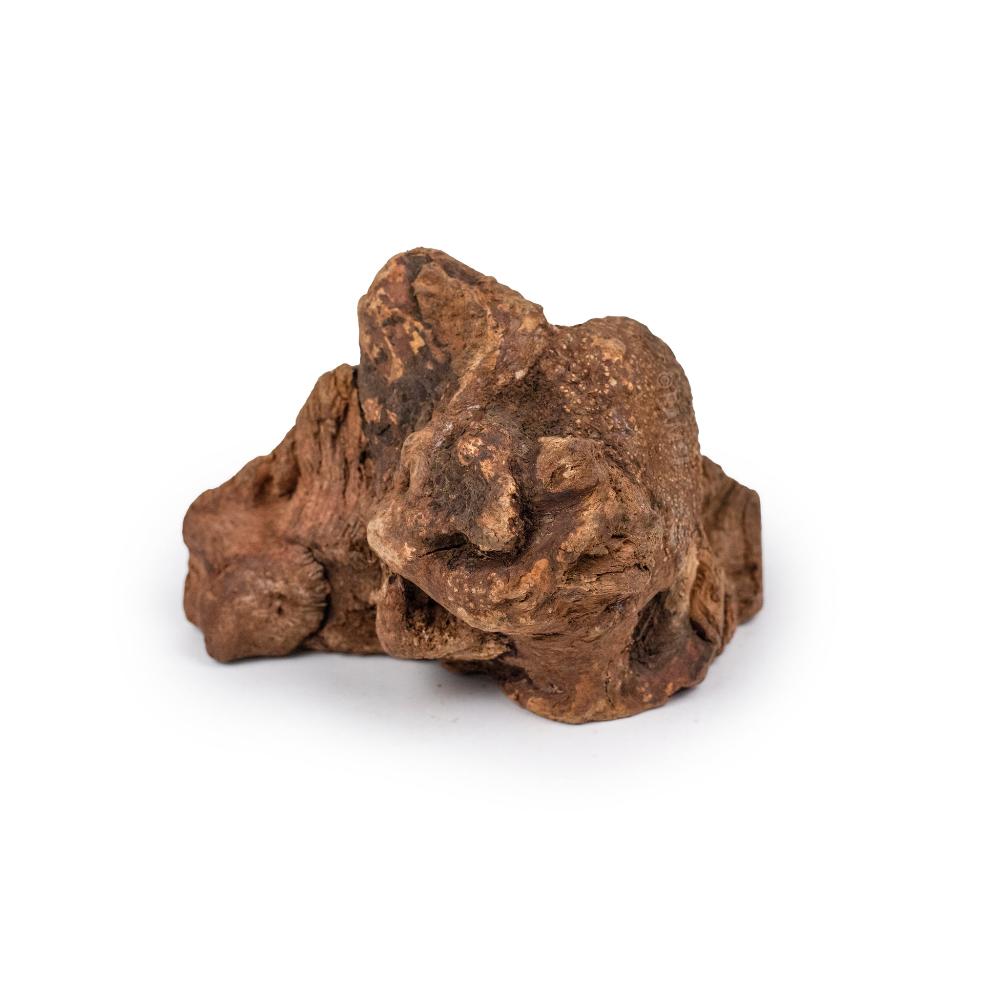 racine de bruyère XL pour chiens