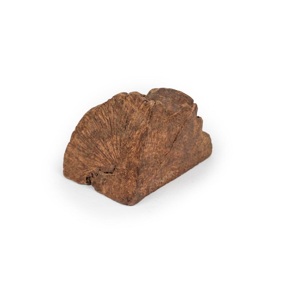 racine de bruyère L pour chiens