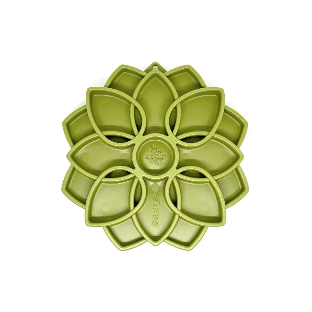 gamelle d'enrichissement mandala