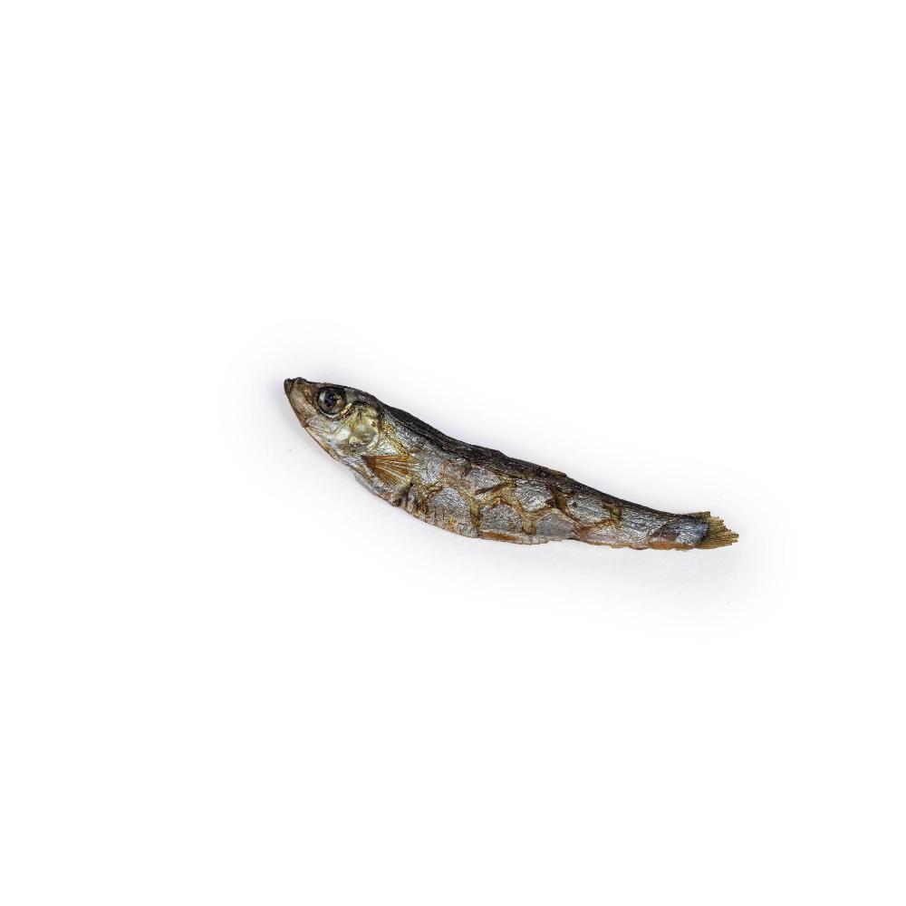poisson séché sprat pour chien