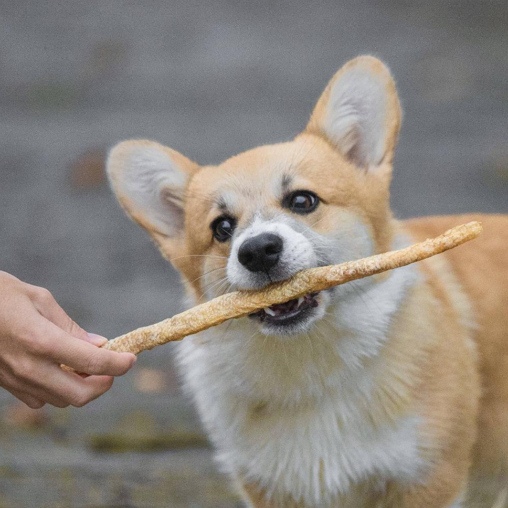 Sticks de rouget pour chiens