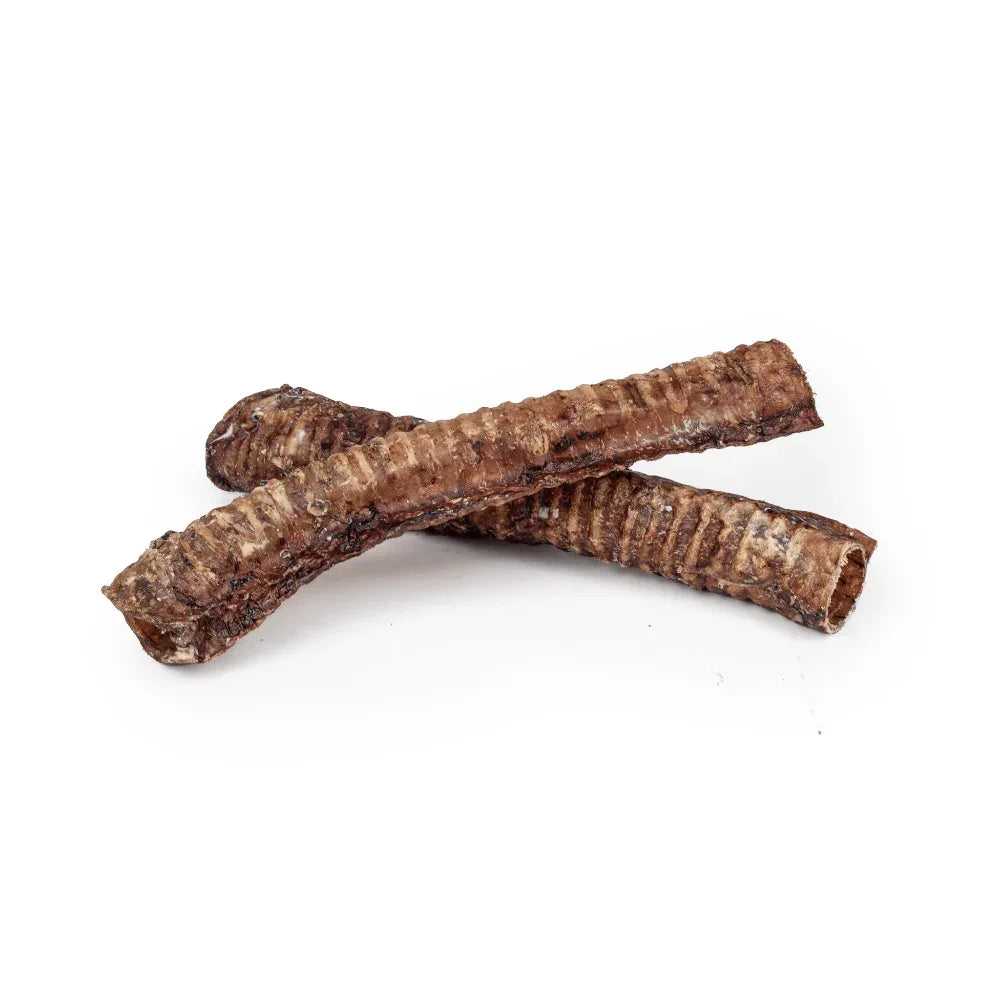 Trachée de boeuf 30 cm - aPETite Store