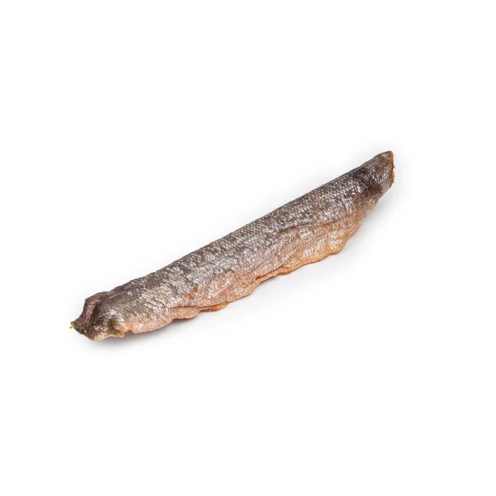 peaux de saumon pour chien