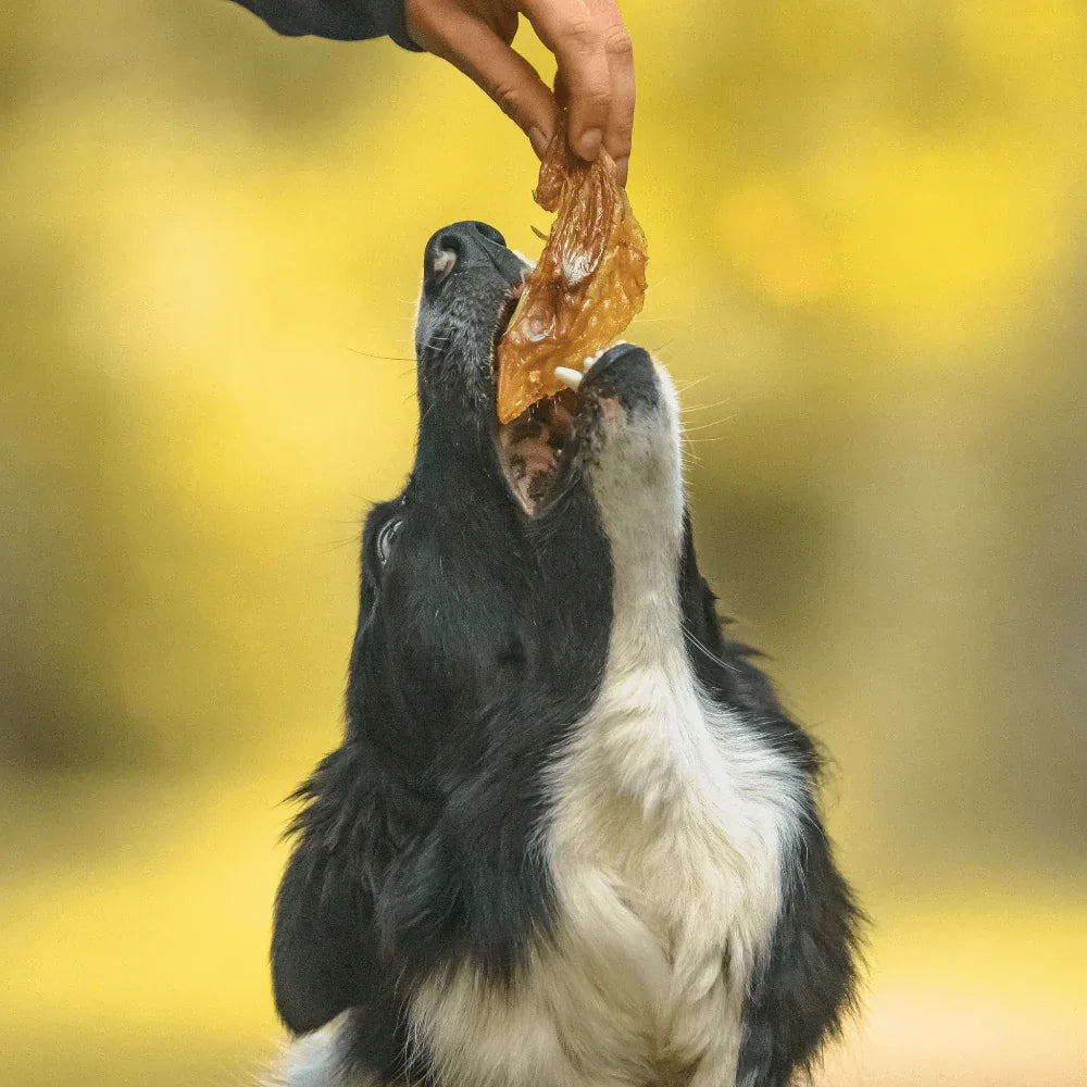 Ailes de dinde – 200g - aPETite Store