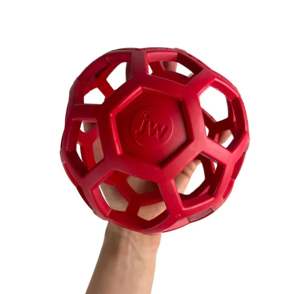 Balle JW Hol-ee Roller - aPETite Store