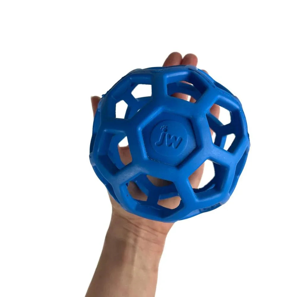 Balle JW Hol-ee Roller - aPETite Store