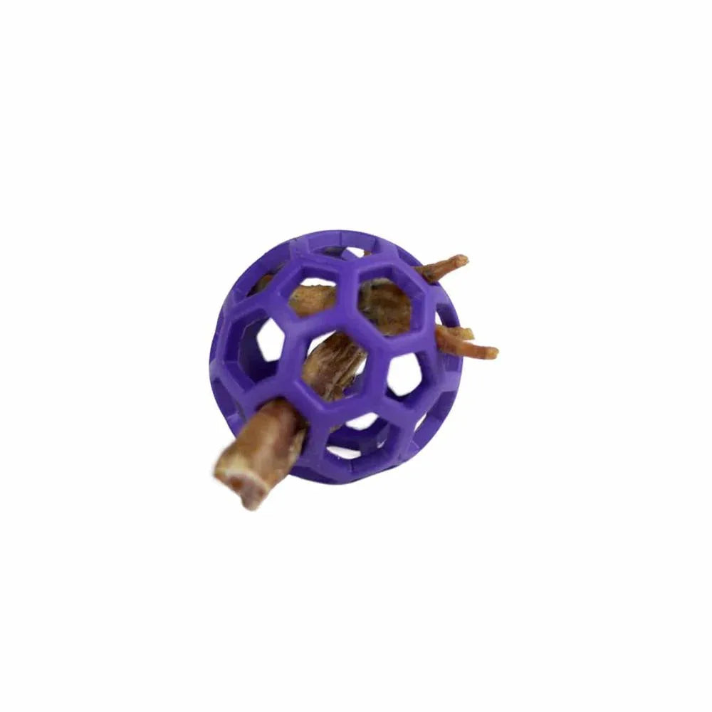 Balle JW Hol-ee Roller - aPETite Store