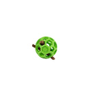 Balle JW Hol-ee Roller - aPETite Store