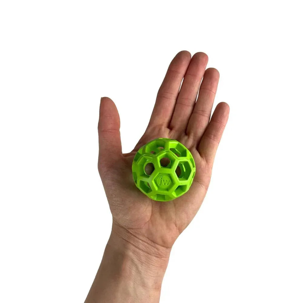 Balle JW Hol-ee Roller - aPETite Store