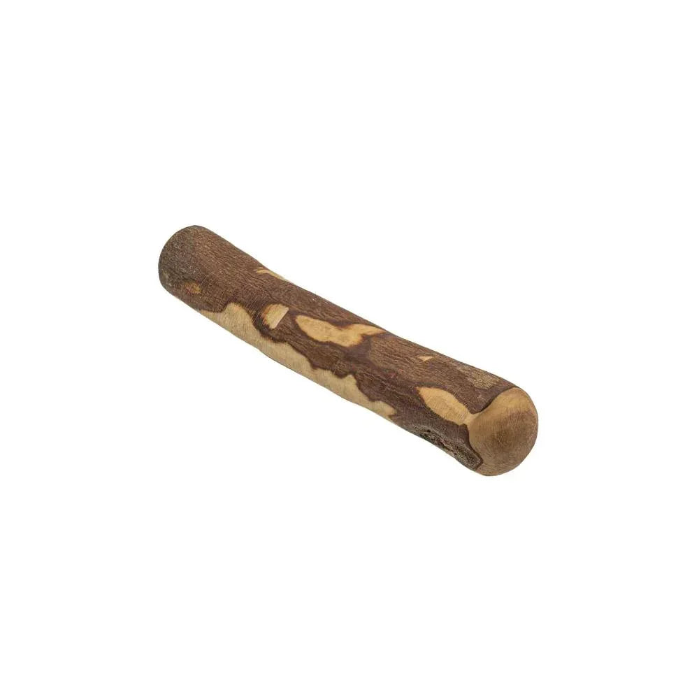 bois d'olivier pour chiens