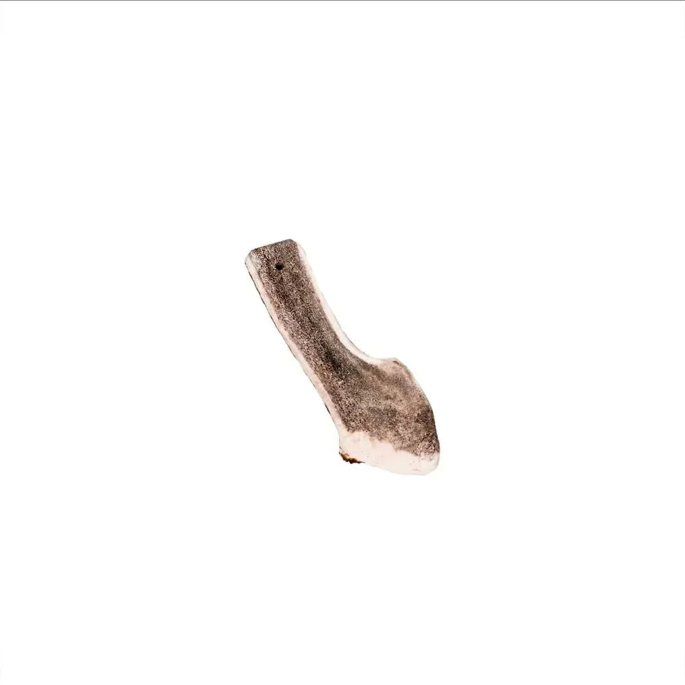 Bois de cerf tranché - aPETite Store