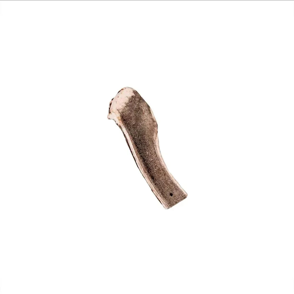 Bois de cerf tranché - aPETite Store