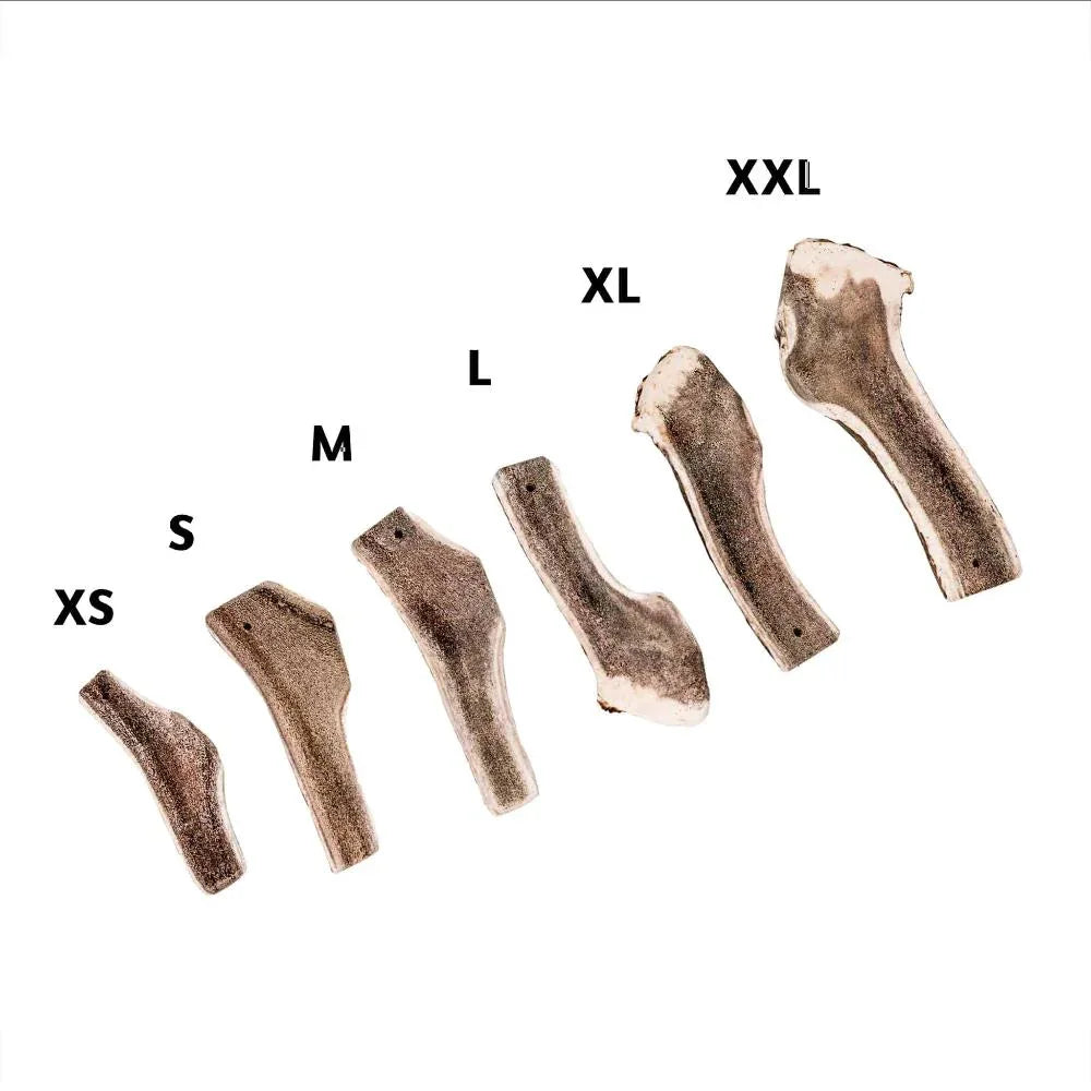 Bois de cerf tranché - aPETite Store