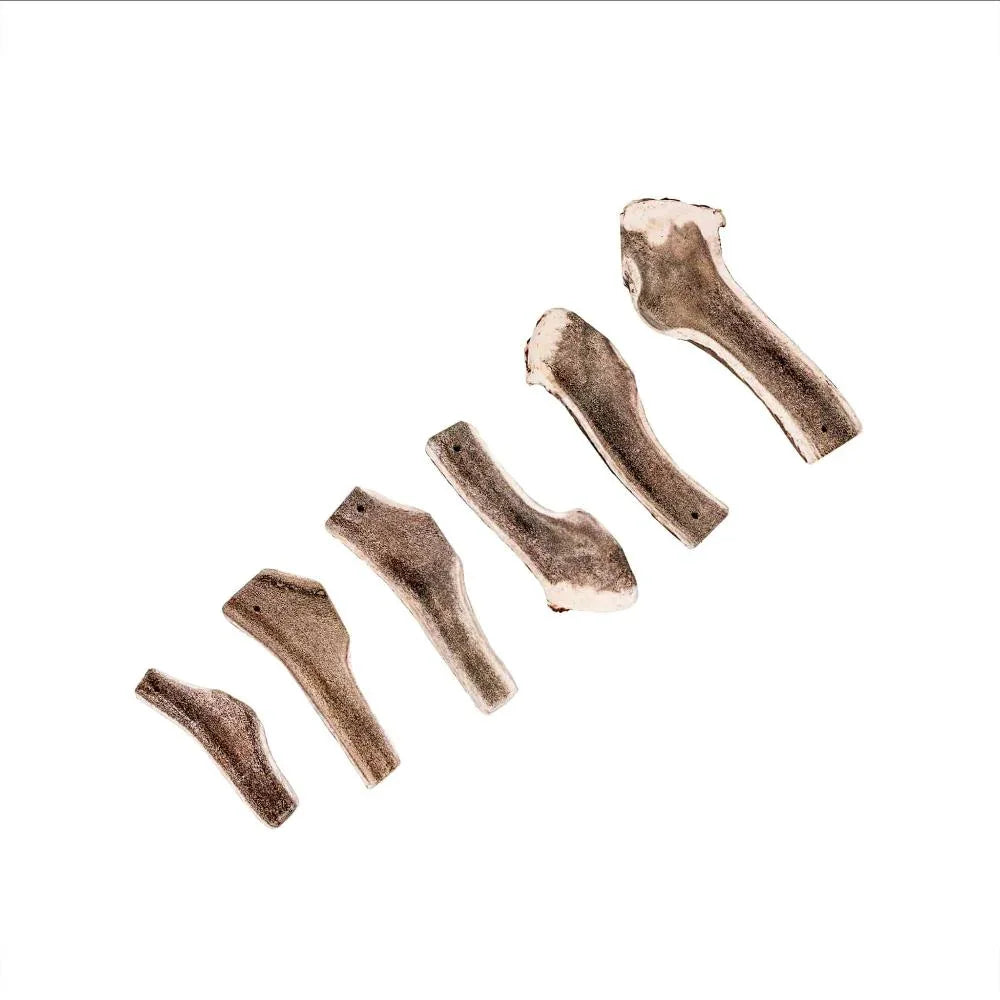 Bois de cerf tranché - aPETite Store