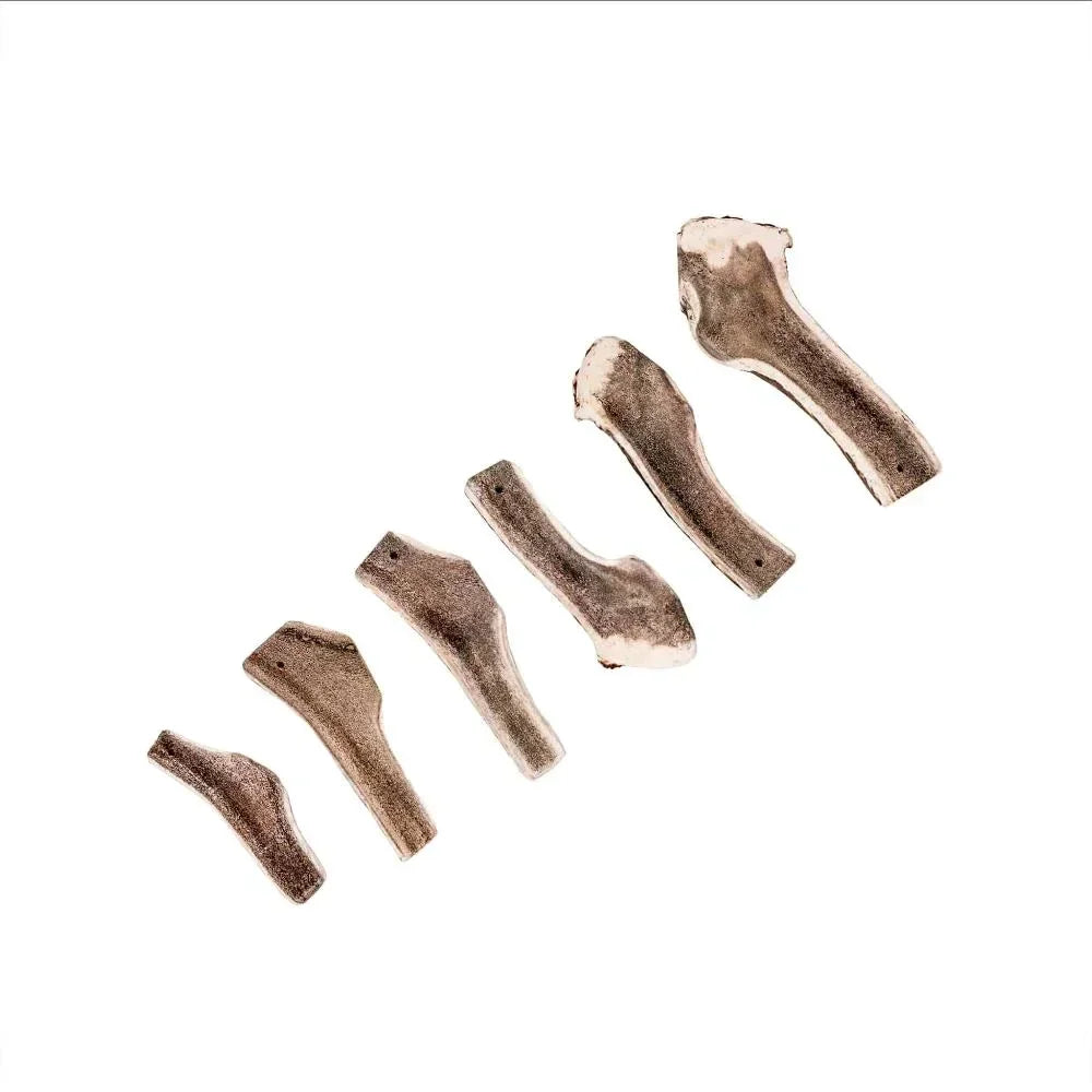Bois de cerf tranché - aPETite Store