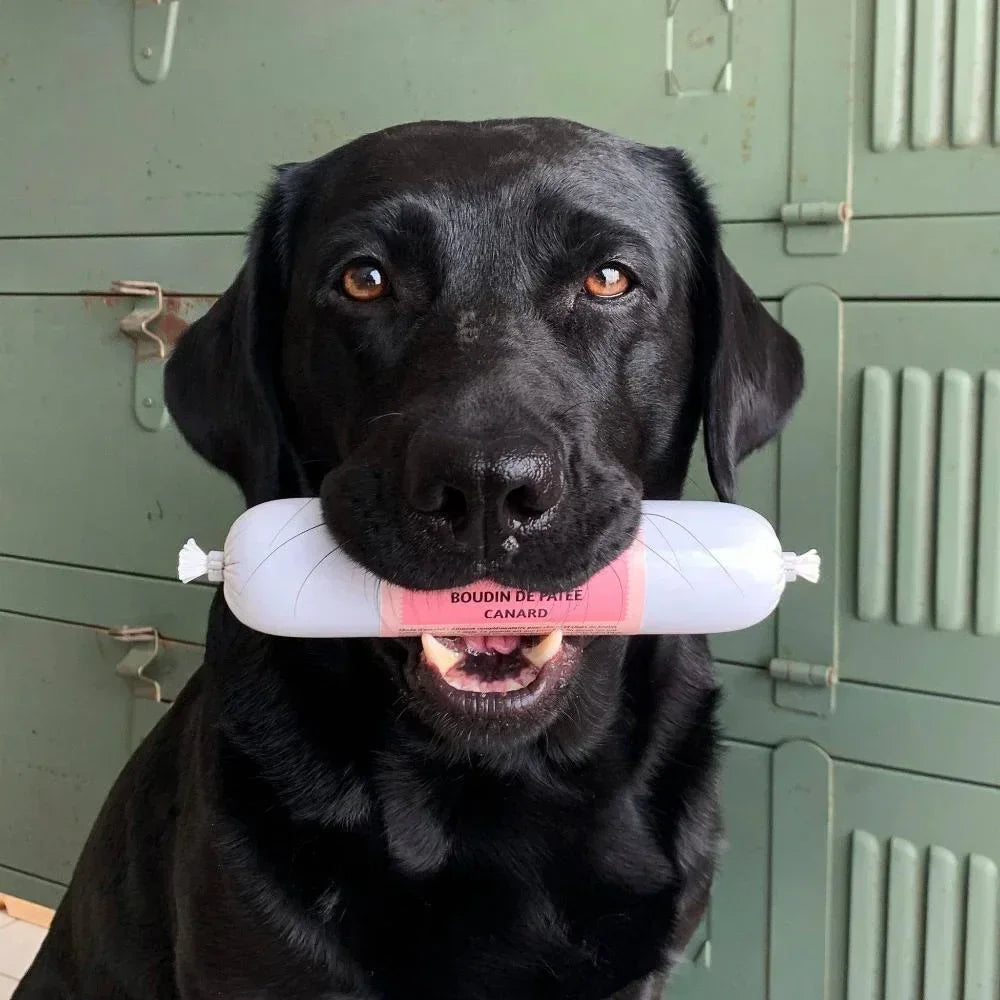 boudins de patee pour chiens