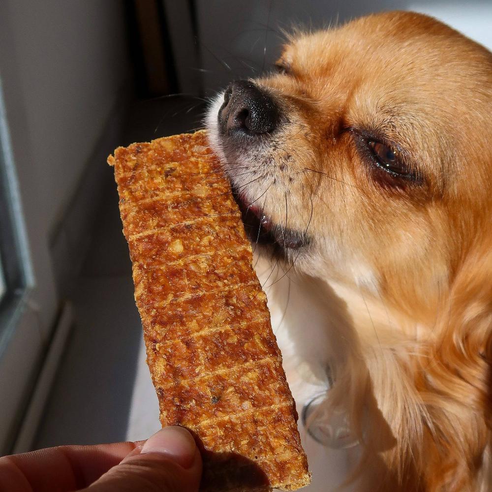 filet de viande pour chien