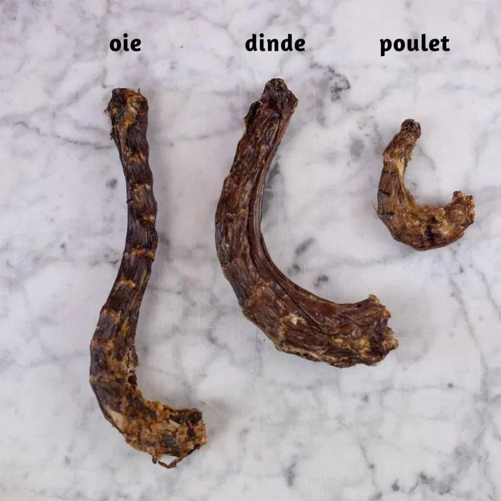 Cous de poulet - aPETite Store