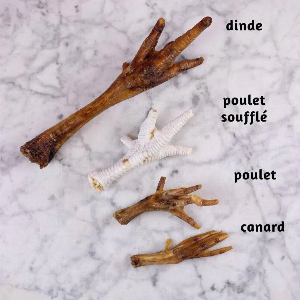 Pattes de canard - aPETite Store