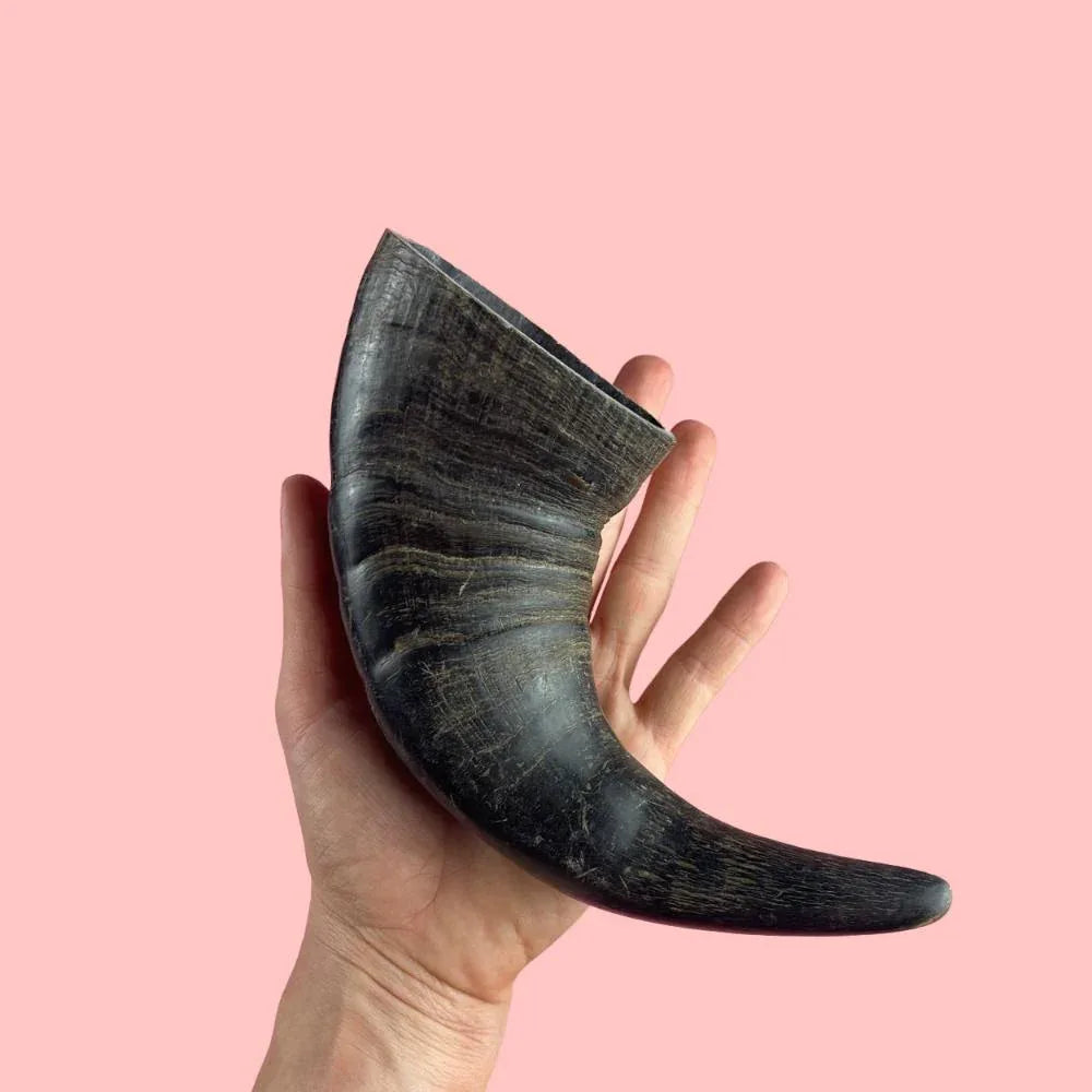 Corne de buffle d'eau - aPETite Store