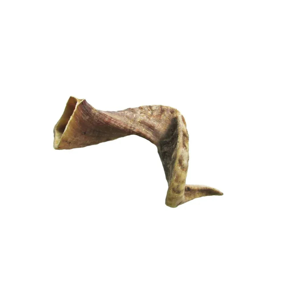 Corne de mouton - aPETite Store