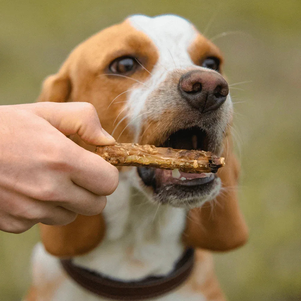 Cous de poulet - aPETite Store